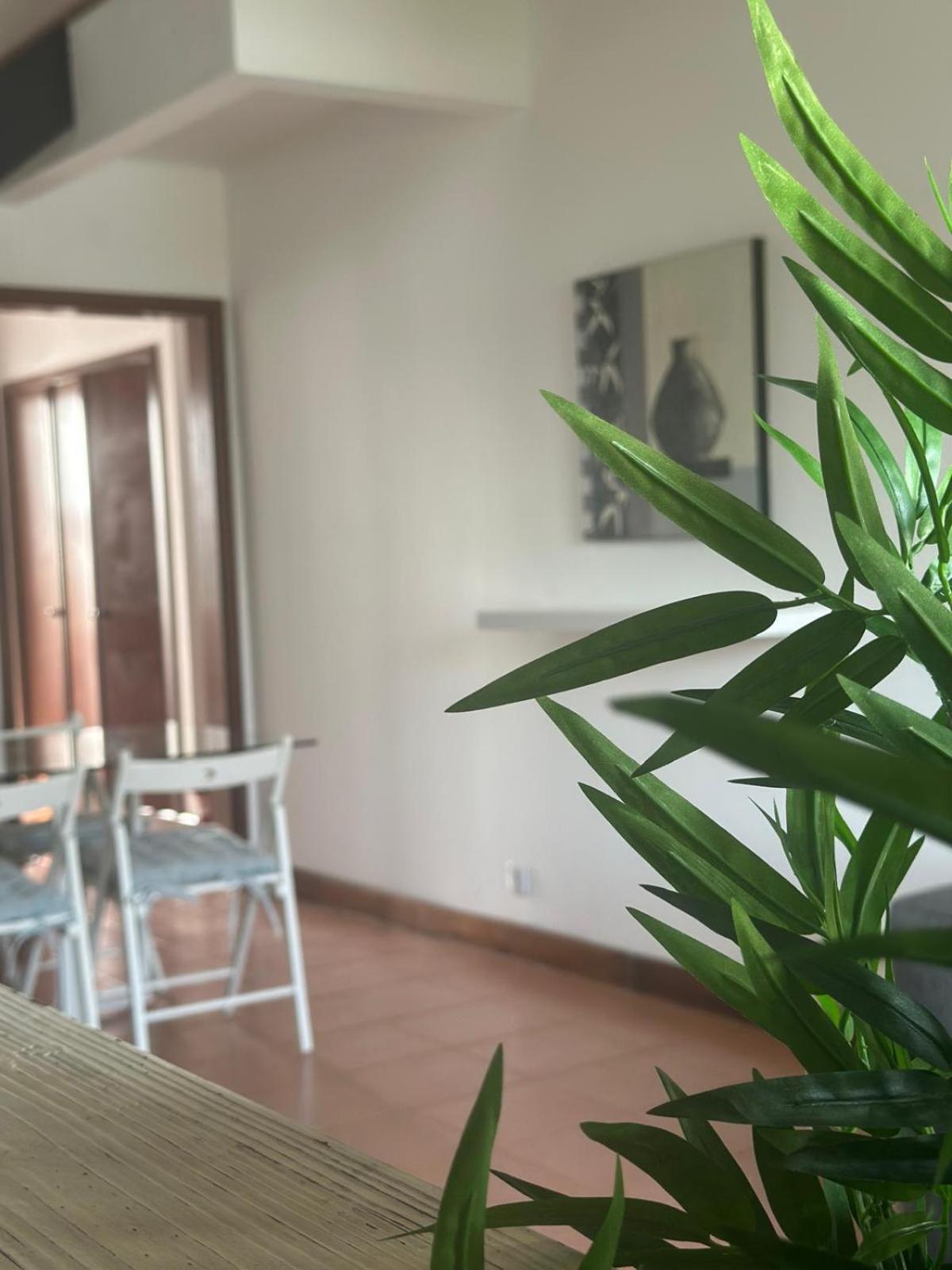 Azores Pedra Apartments - T0 E T1 Понта-Делгада Экстерьер фото